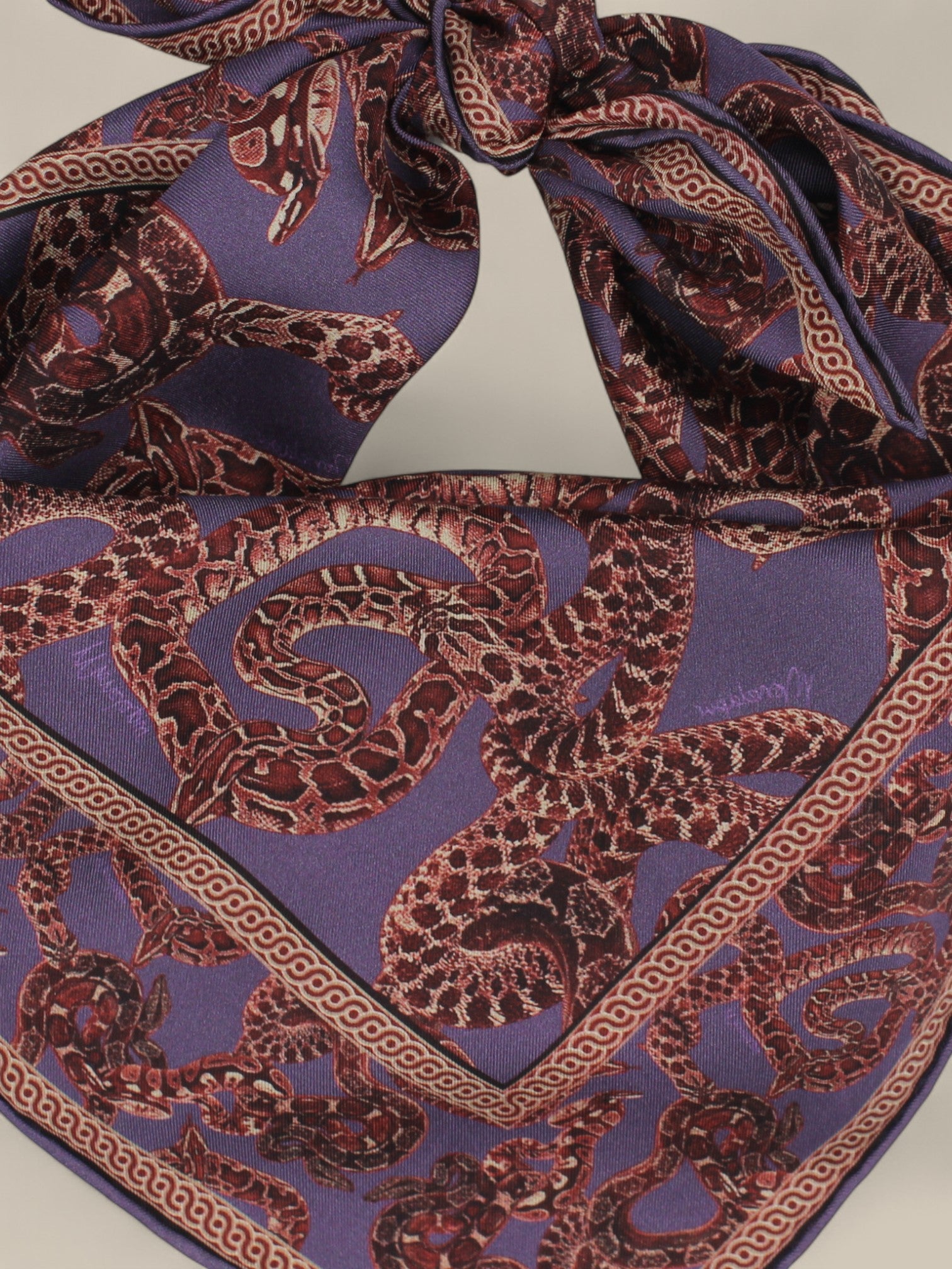 Silk Snake Scarf - Vino x Purple (Small)