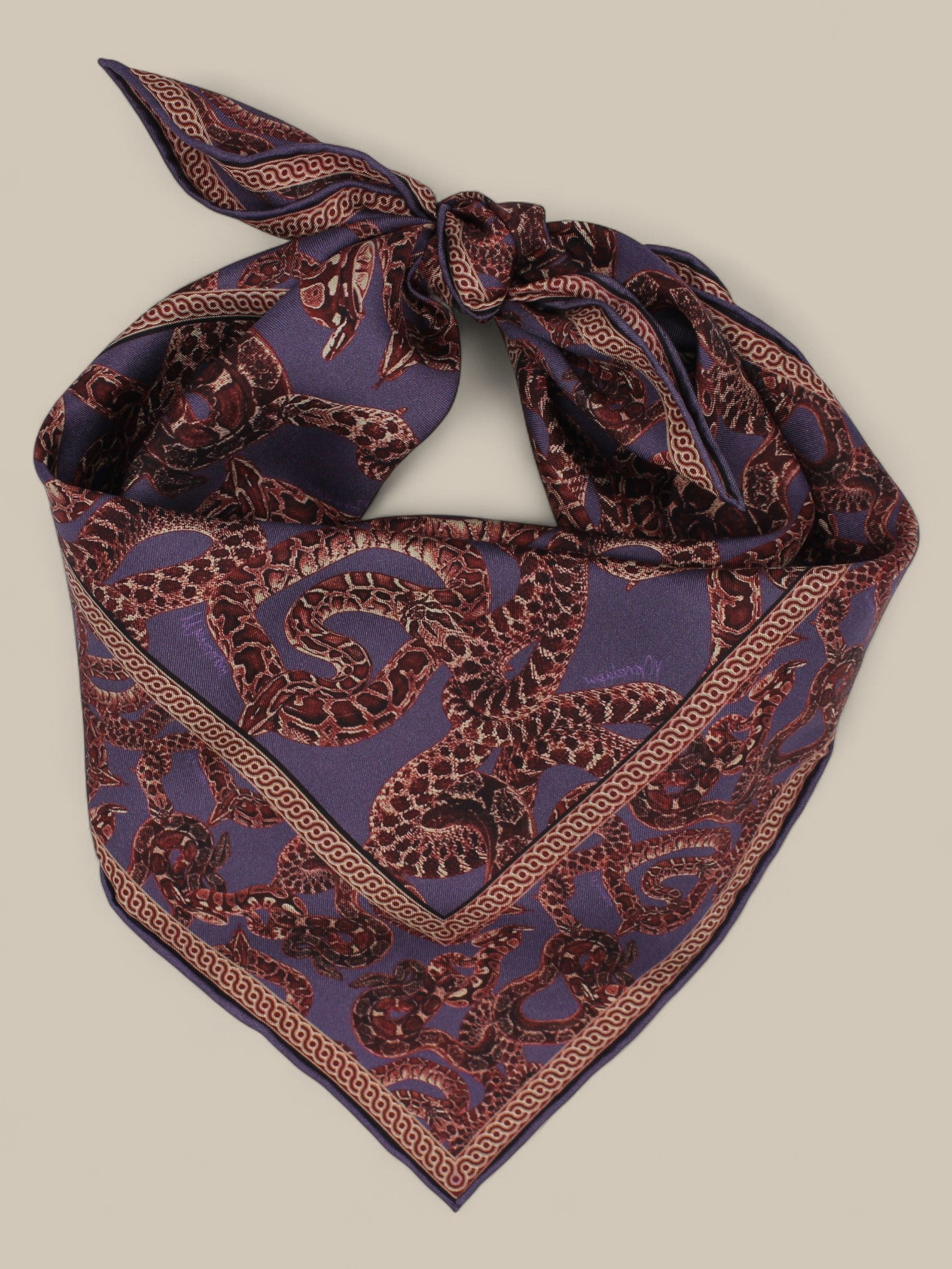 Silk Snake Scarf - Vino x Purple (Small)