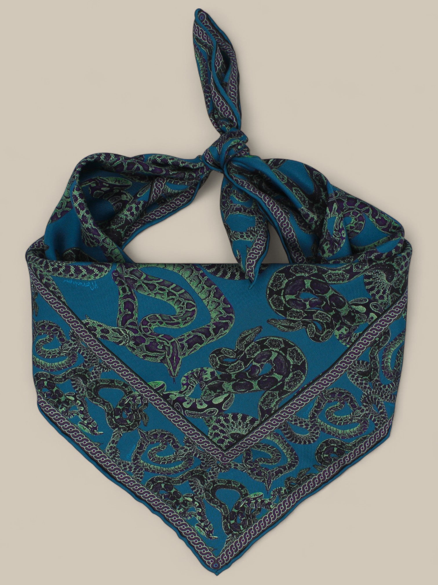 Silk Snake Scarf - Teal x Mint (Small)